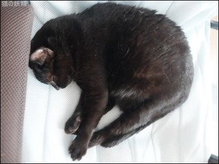 s-DSCF9255.jpg