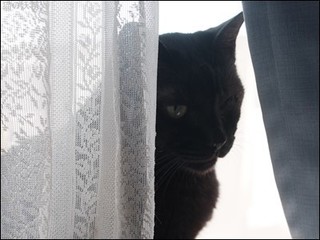 s-DSCF9257.jpg