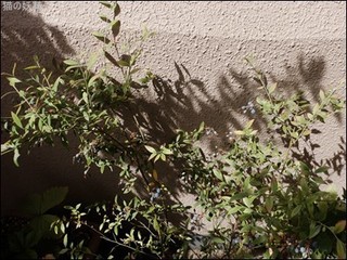 s-DSCF9271.jpg