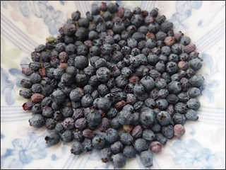 s-DSCF9276.jpg
