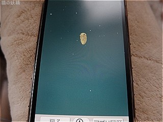 s-DSCF9278.jpg