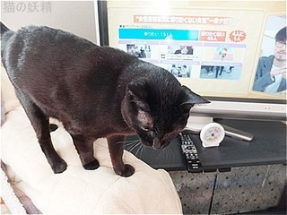 s-DSCF9291.jpg