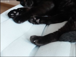 s-DSCF9296.jpg
