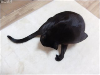 s-DSCF9299.jpg