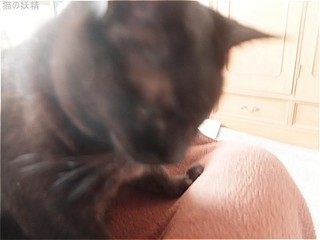 s-DSCF9306.jpg