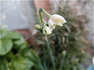 s-DSCF9319.jpg