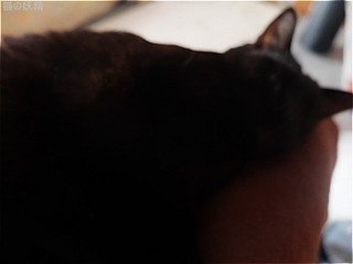 s-DSCF9346.jpg