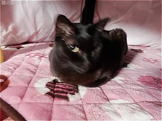 s-DSCF9351.jpg
