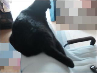 s-DSCF9362.jpg