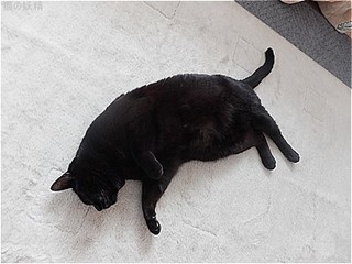 s-DSCF9364.jpg