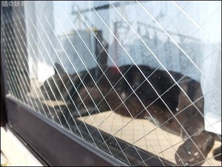 s-DSCF9380.jpg