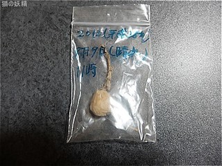 s-DSCF9396.jpg