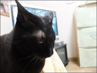 s-DSCF9410.jpg