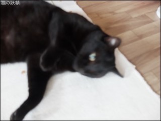 s-DSCF9511.jpg