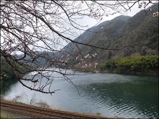 s-DSCF9513.jpg