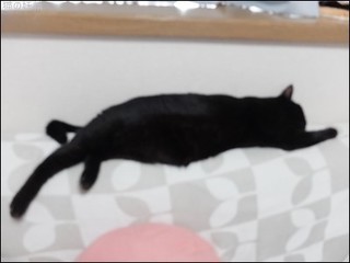 s-DSCF9529.jpg