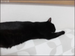 s-DSCF9530.jpg