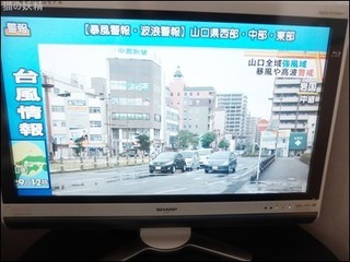 s-DSCF9579.jpg