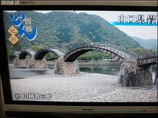 s-DSCF9597.jpg
