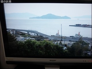 s-DSCF9598.jpg