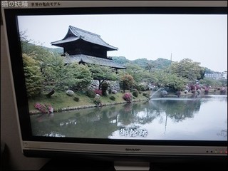 s-DSCF9599.jpg