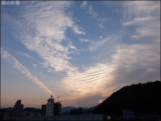 s-DSCF9621.jpg