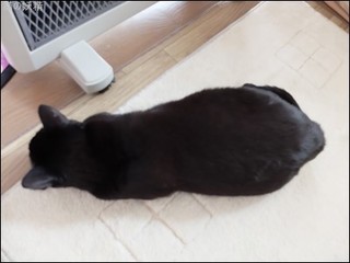 s-DSCF9677.jpg