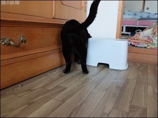 s-DSCF9685.jpg