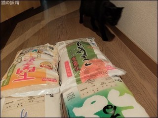 s-DSCF9706.jpg
