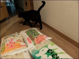 s-DSCF9714.jpg