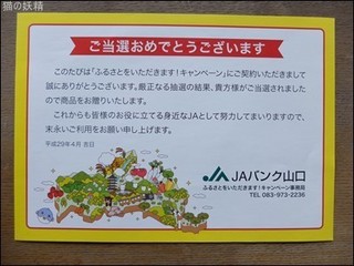 s-DSCF9716.jpg