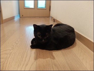 s-DSCF9757.jpg