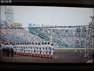 s-DSCF9772.jpg