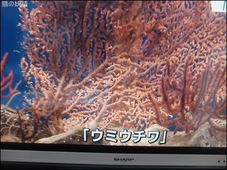 s-DSCF9780.jpg