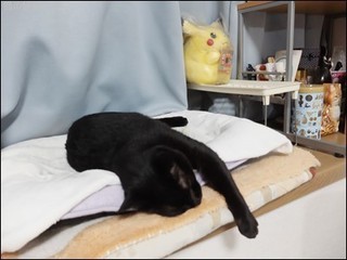 s-DSCF9832.jpg