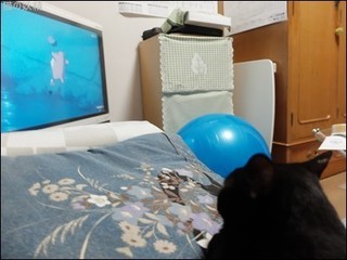 s-DSCF9906.jpg