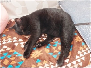 s-DSCF9954.jpg