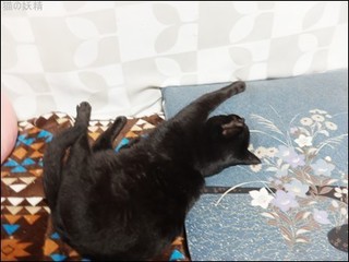 s-DSCF9978.jpg