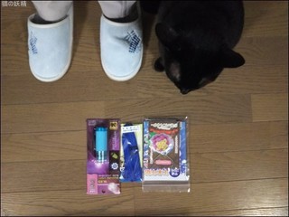 s-DSC_0072.jpg
