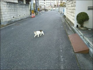 s-DSC_0140.jpg