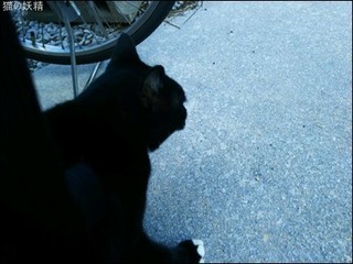 s-DSC_0980.jpg