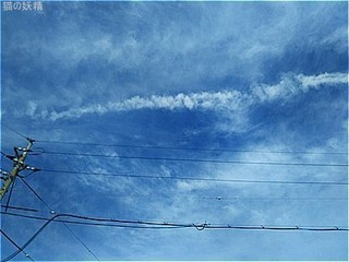 s-DSC_1608.jpg