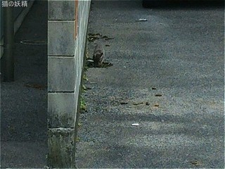 s-DSC_1651.jpg