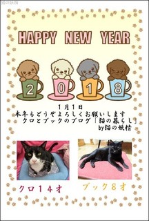 s-2018年賀状.jpg