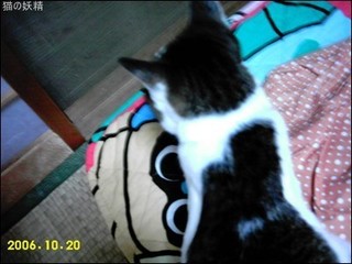 s-IMAG0004.jpg