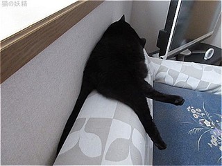 s-IMG_0032.jpg