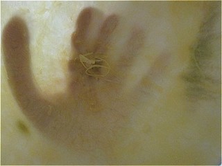 s-IMG_0128.jpg