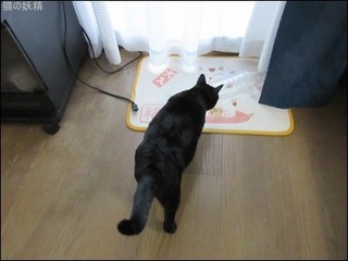 s-IMG_0211.jpg