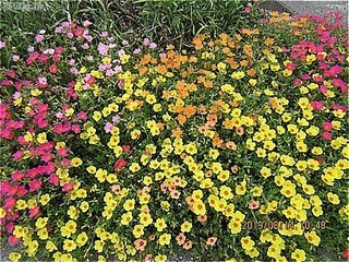 s-IMG_0217.jpg