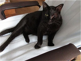 s-IMG_0229.jpg
